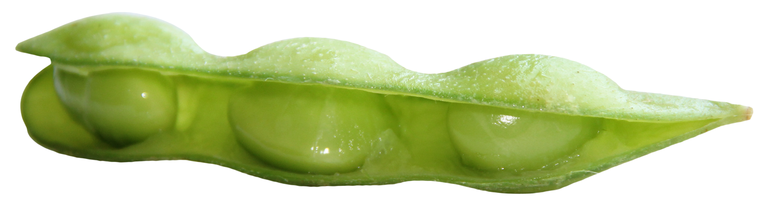 打開的綠色豌豆莢 壁紙