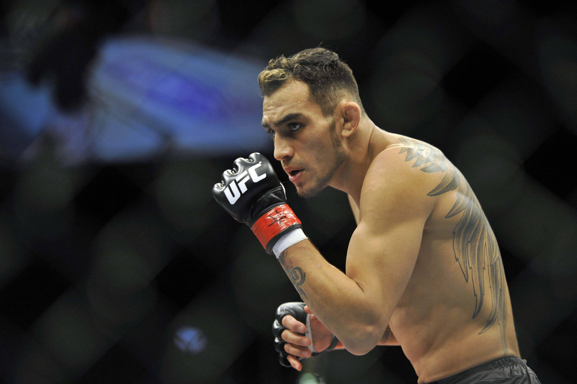 比賽中八角籠內戴著UFC手套的MMA選手