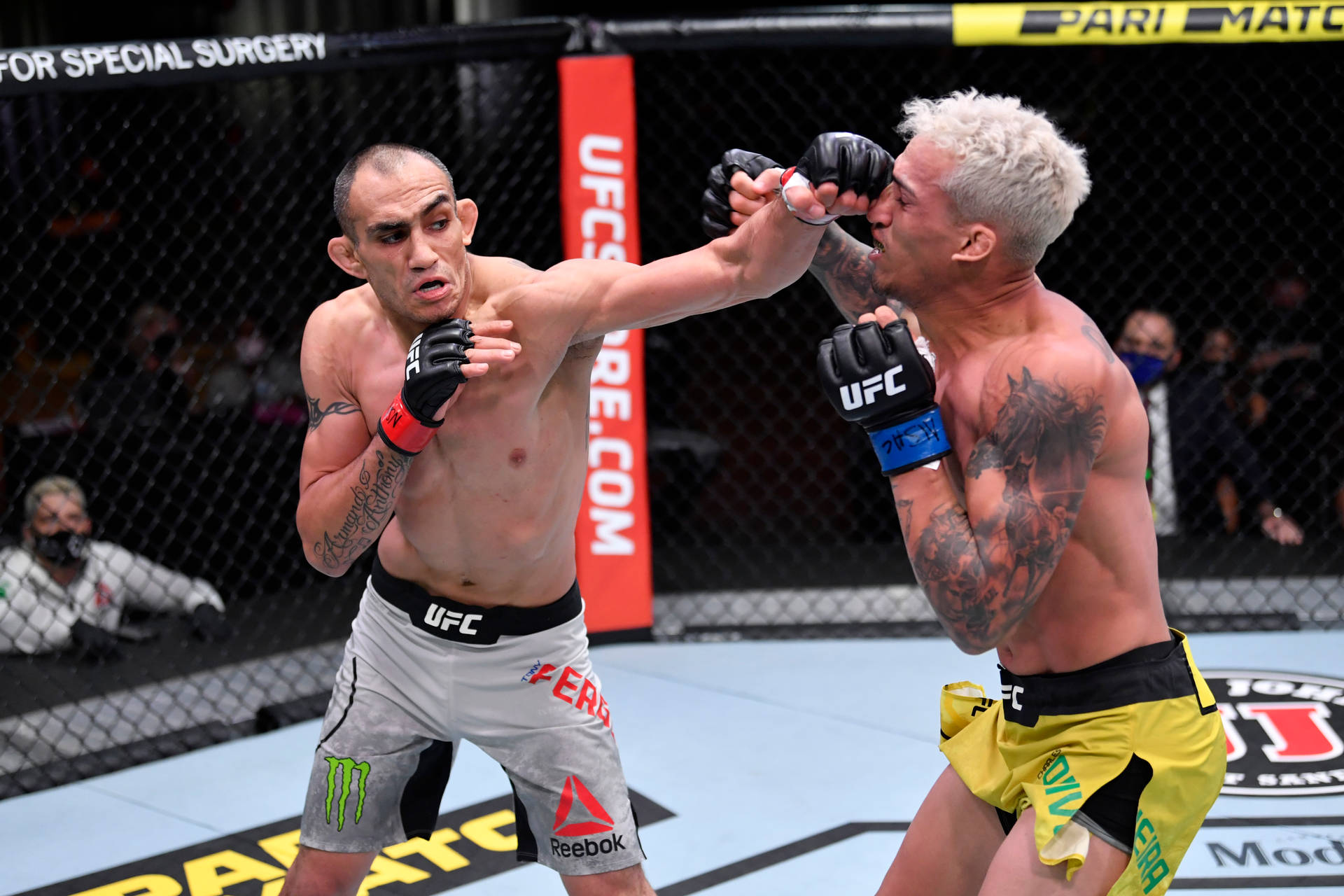 兩名男性MMA拳手在UFC比賽期間於鐵籠中互毆。
