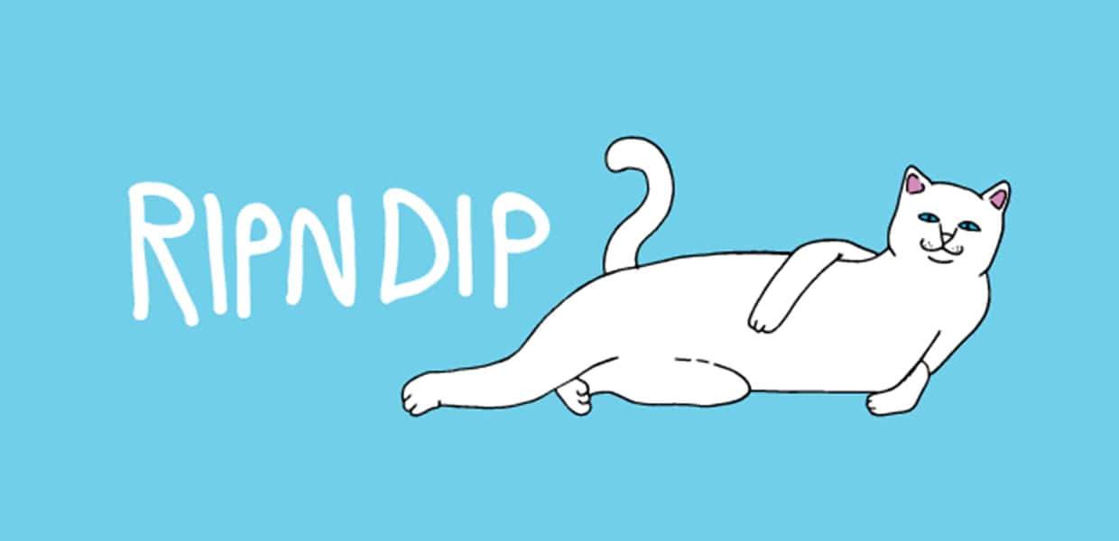白色卡通貓在藍色背景上躺著，帶有「RIPNDIP」文字。