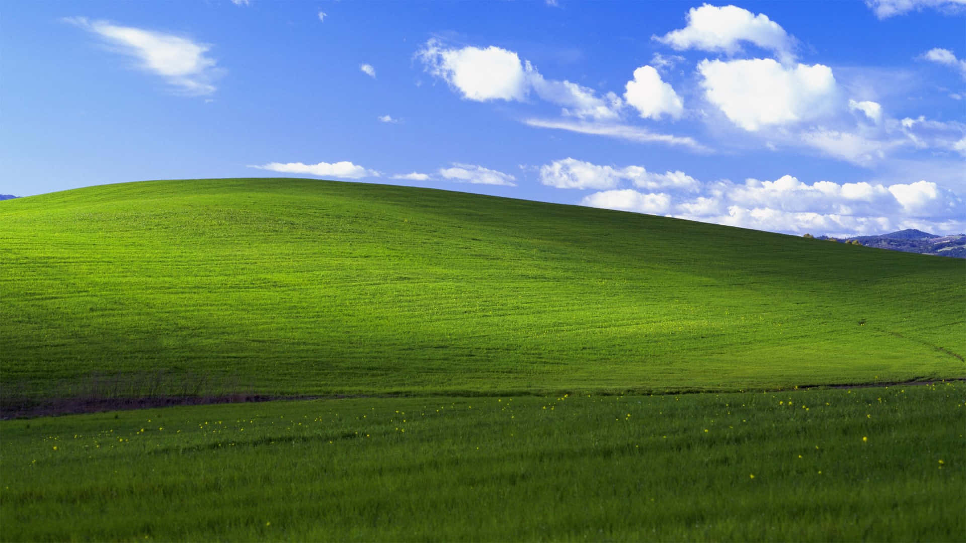 1440P背景