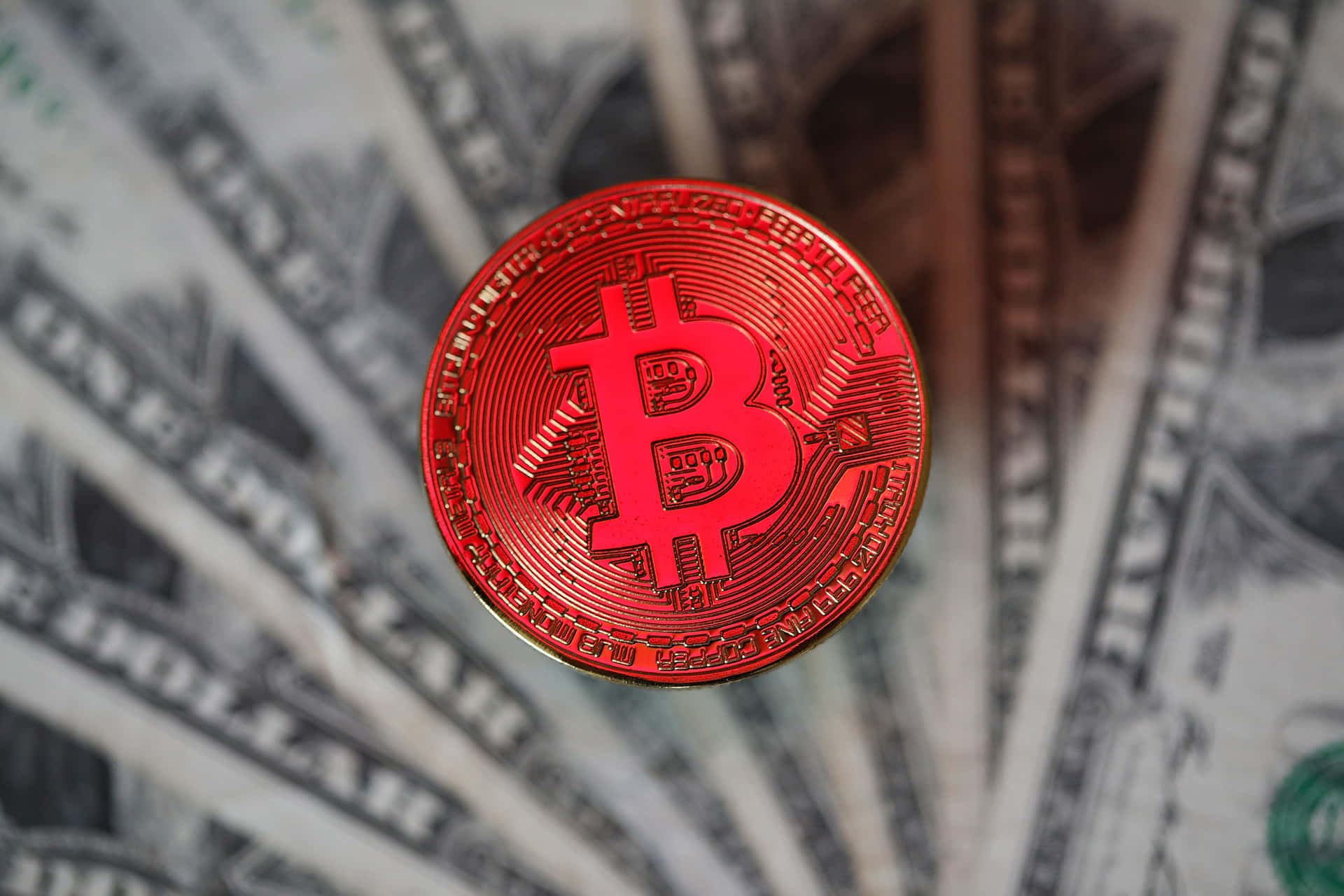 投資比特幣，邁向財務自由 壁紙 — 一枚閃亮的紅色比特幣硬幣放在一疊展開的美鈔上，特寫鏡頭。