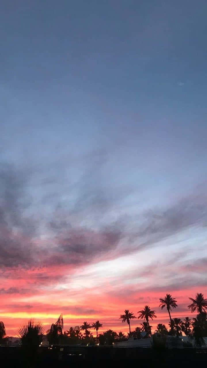 棕櫚樹在色彩繽紛的夕陽天空下形成剪影。