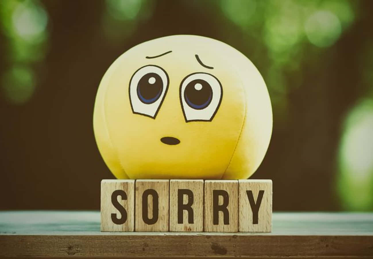 一個悲傷的黃色毛公仔表情符號玩具，放在拼出sorry的木製積木後面。