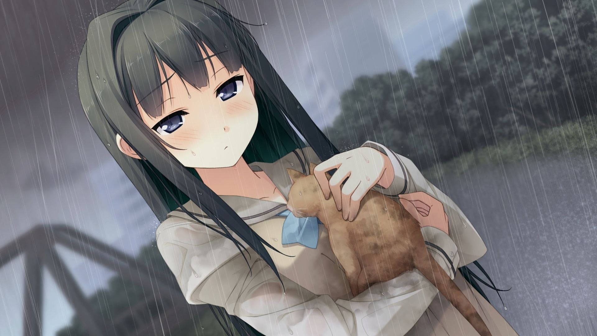 雨中抱著貓咪、表情溫柔的動漫女孩