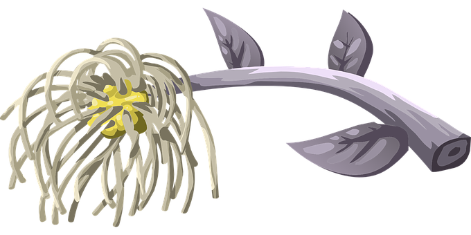 抽象植物插圖 壁紙