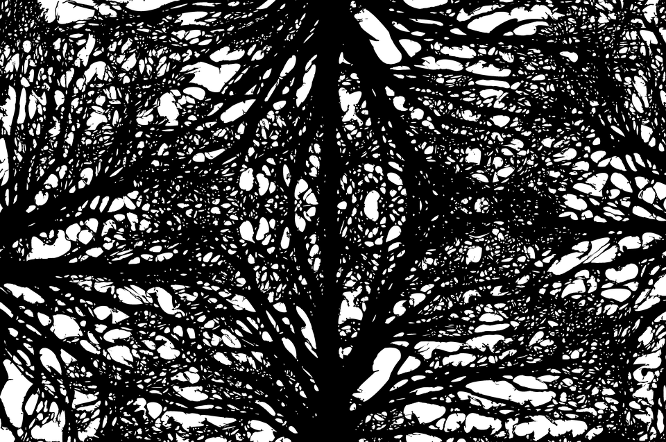抽象樹枝剪影圖案 壁紙 — 鮮明的黑色背景上，複雜的白色線條圖案形成對稱的抽象設計。
