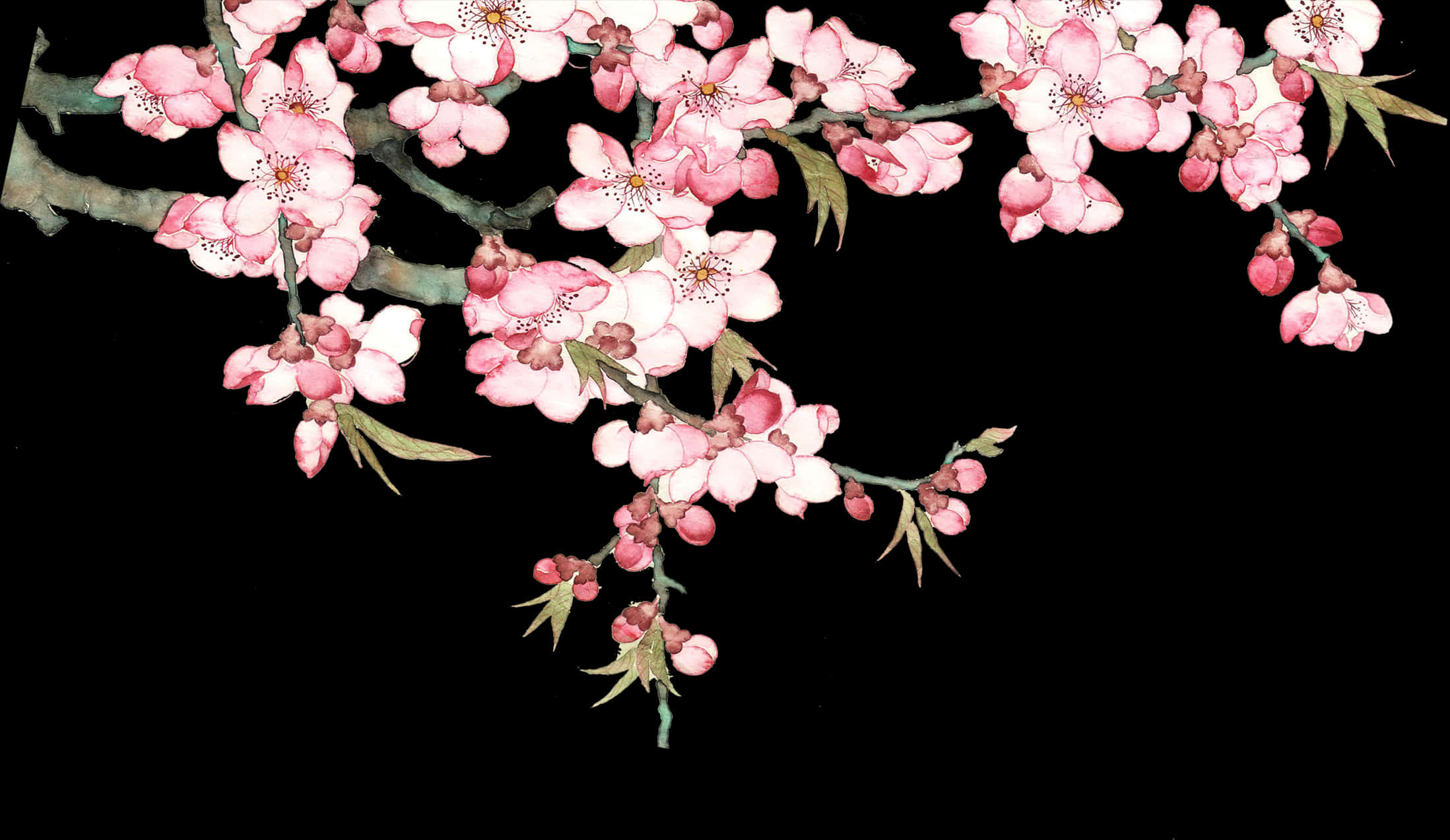 抽象櫻花藝術 壁紙