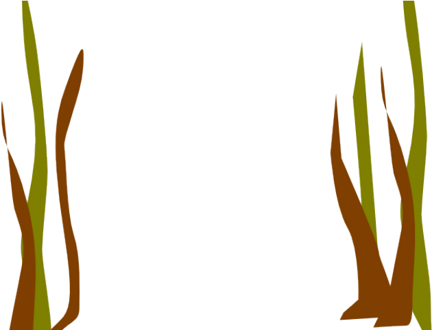 抽象海藻插畫 壁紙