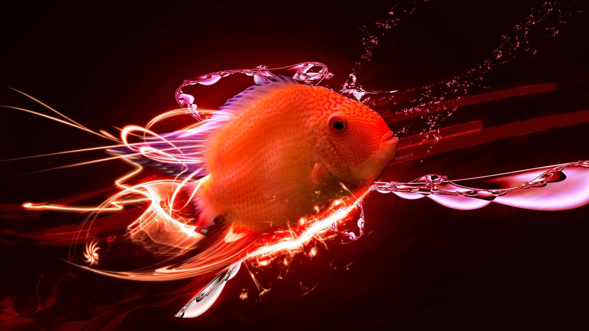 抽象紅鯛數位藝術 壁紙 — 一條充滿活力的橙色魚在深紅色背景下，帶著發光的軌跡和閃爍的水珠衝破水面。