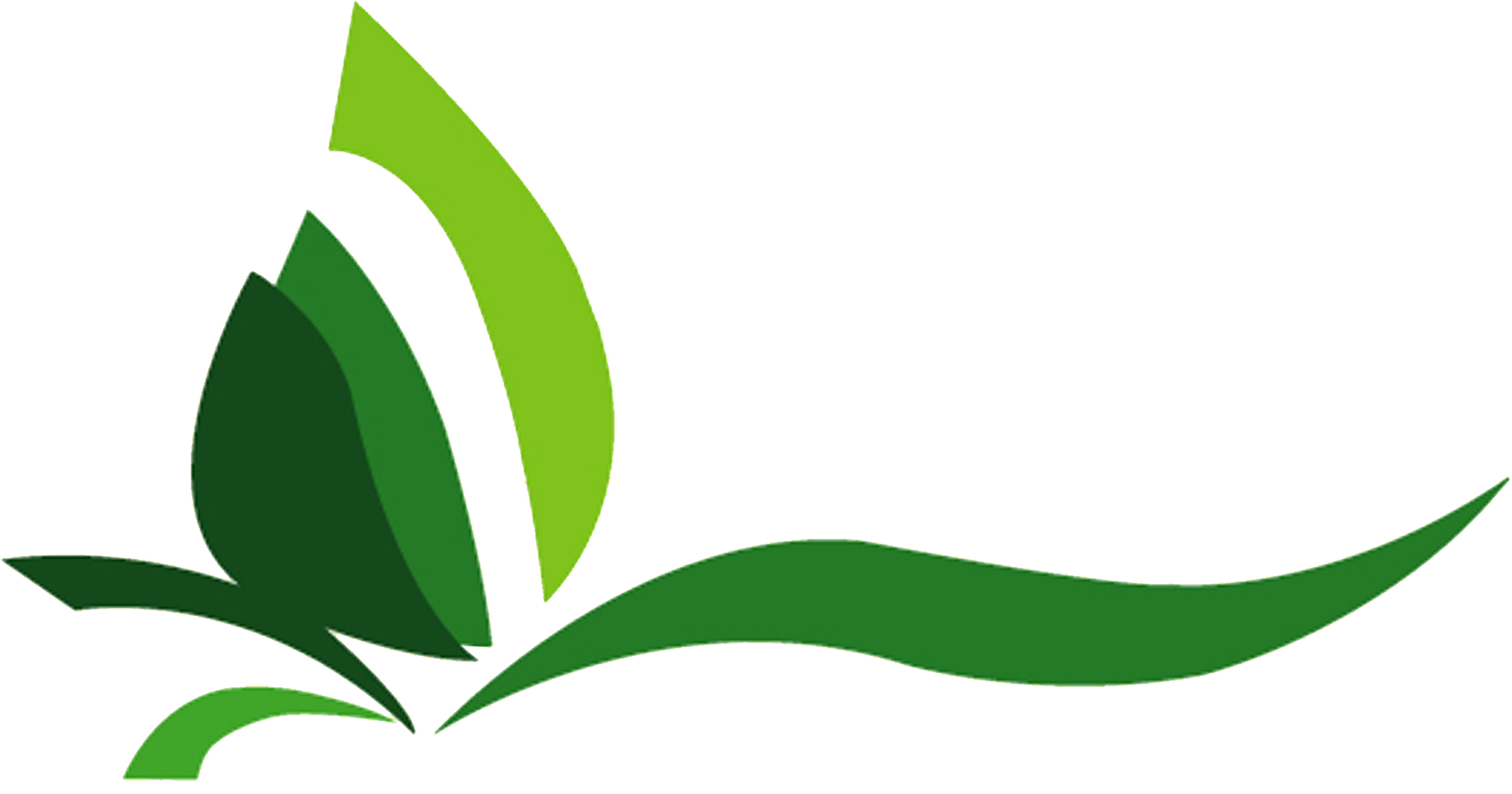 抽象綠色植物圖形 壁紙 — 不同深淺的風格化綠色葉片形狀在黑色背景上形成流動的抽象植物圖案。