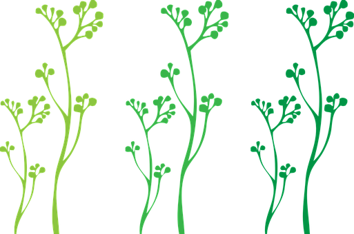 抽象綠色植物插圖 壁紙