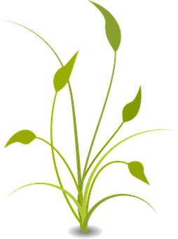 抽象綠色植物插畫 壁紙