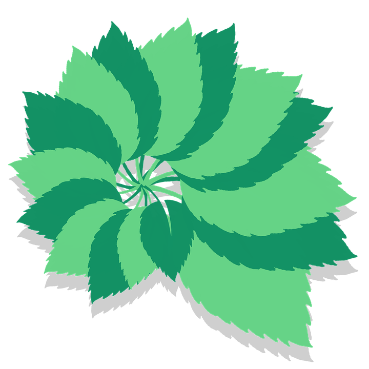 抽象綠色葉子設計 壁紙