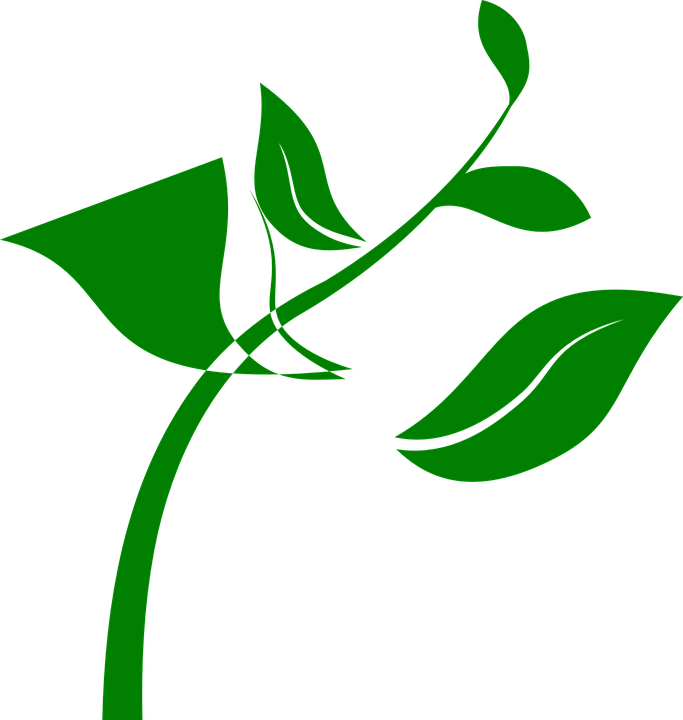 抽象綠葉設計 壁紙 — 極簡綠色植物莖葉，襯以純黑背景。