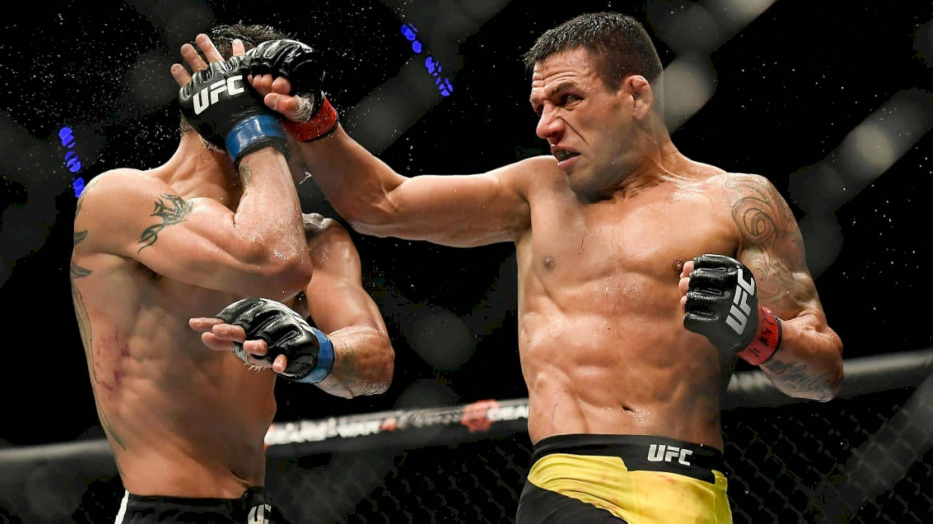 兩名MMA拳手在UFC八角鐵籠賽中互相出拳。