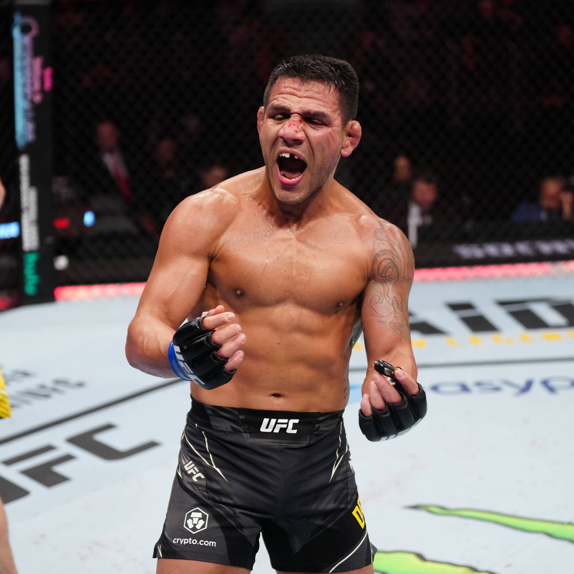 UFC拳手在八角籠內慶祝勝利，臉上帶血，拳頭緊握。