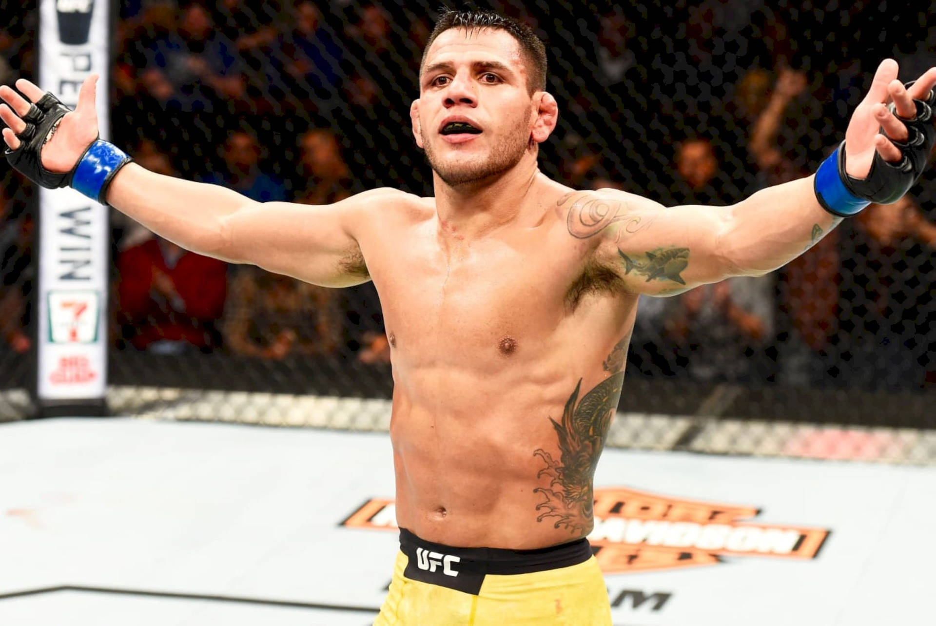 MMA拳手在UFC八角籠內高舉雙臂慶祝勝利。