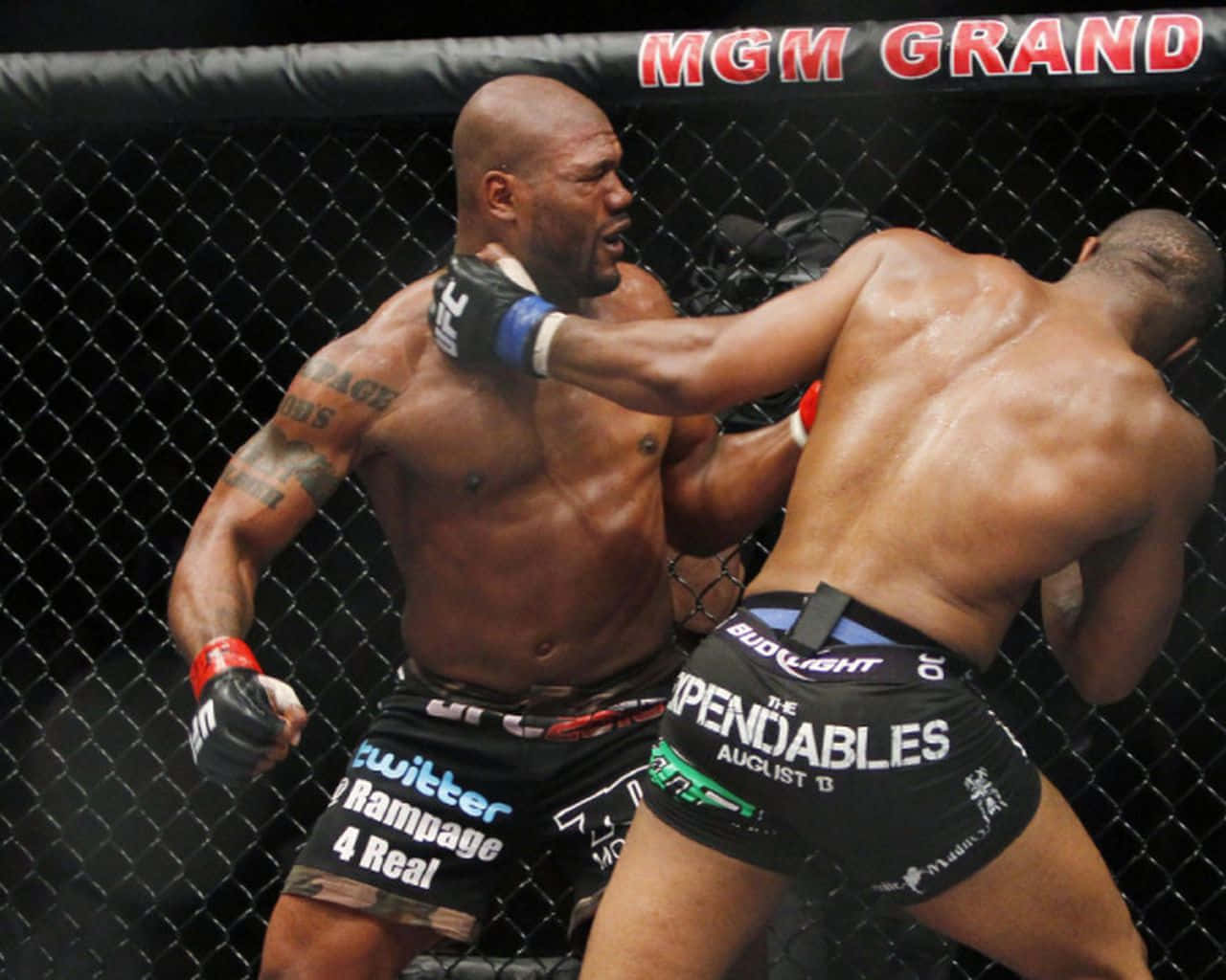 兩位MMA拳手在MGM Grand的八角籠內互相揮拳。