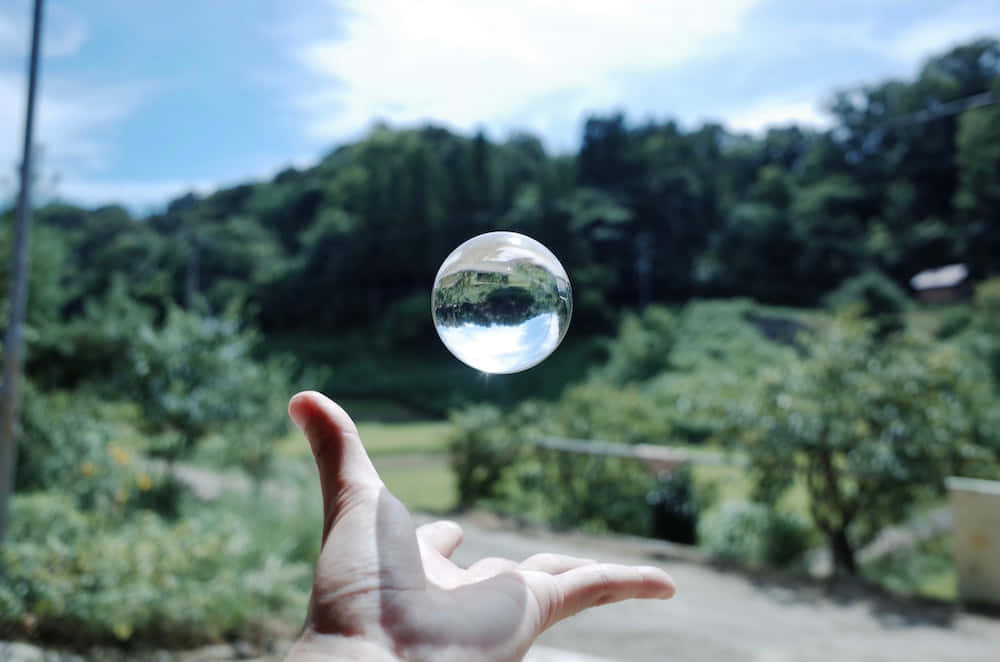 手拿著反射森林和天空的玻璃球