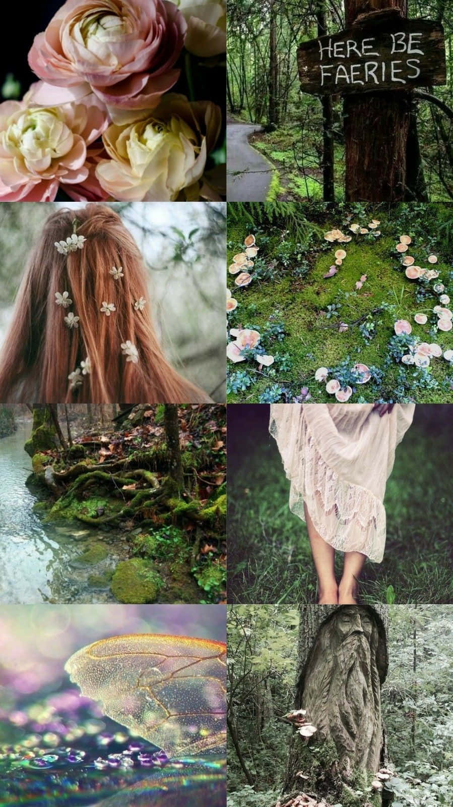 一個異想天開的森林場景，有花朵、苔蘚、標誌和一個穿著飄逸連衣裙的人。