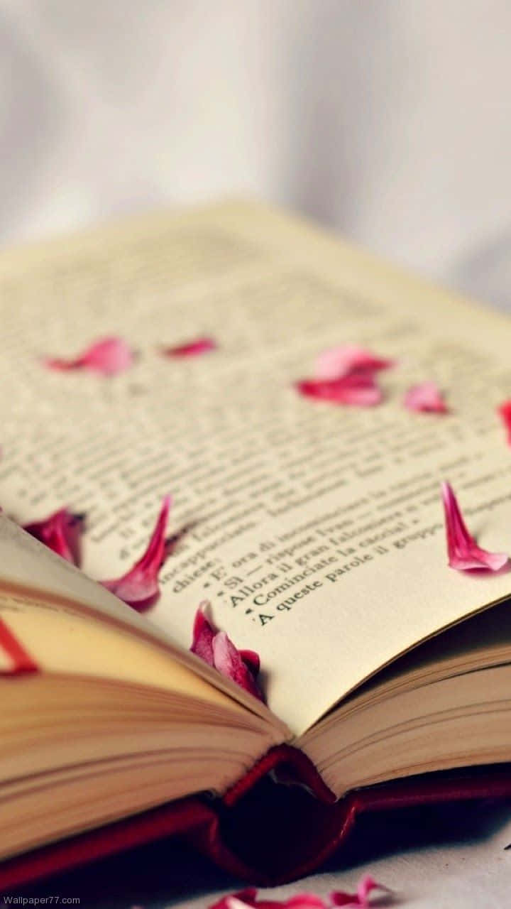 打開的書，粉紅色花瓣放在書頁上。