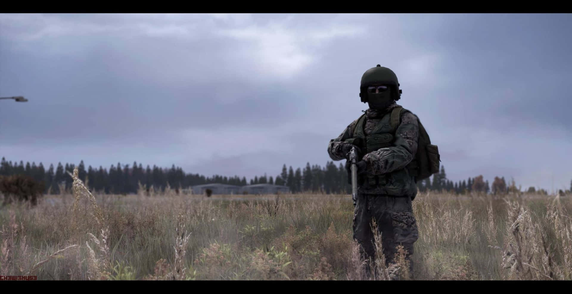 身穿迷彩裝備的士兵在多雲天空下的草地上持步槍。