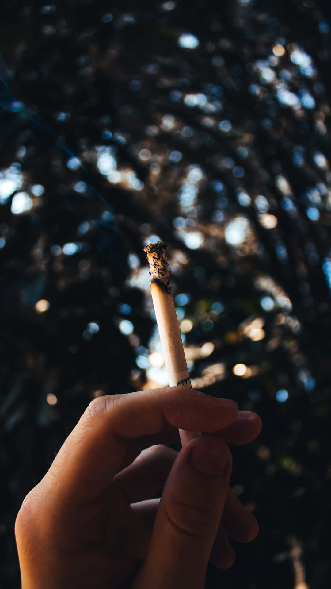 手拿著點燃的香煙，陽光透過後面的樹木照射進來。
