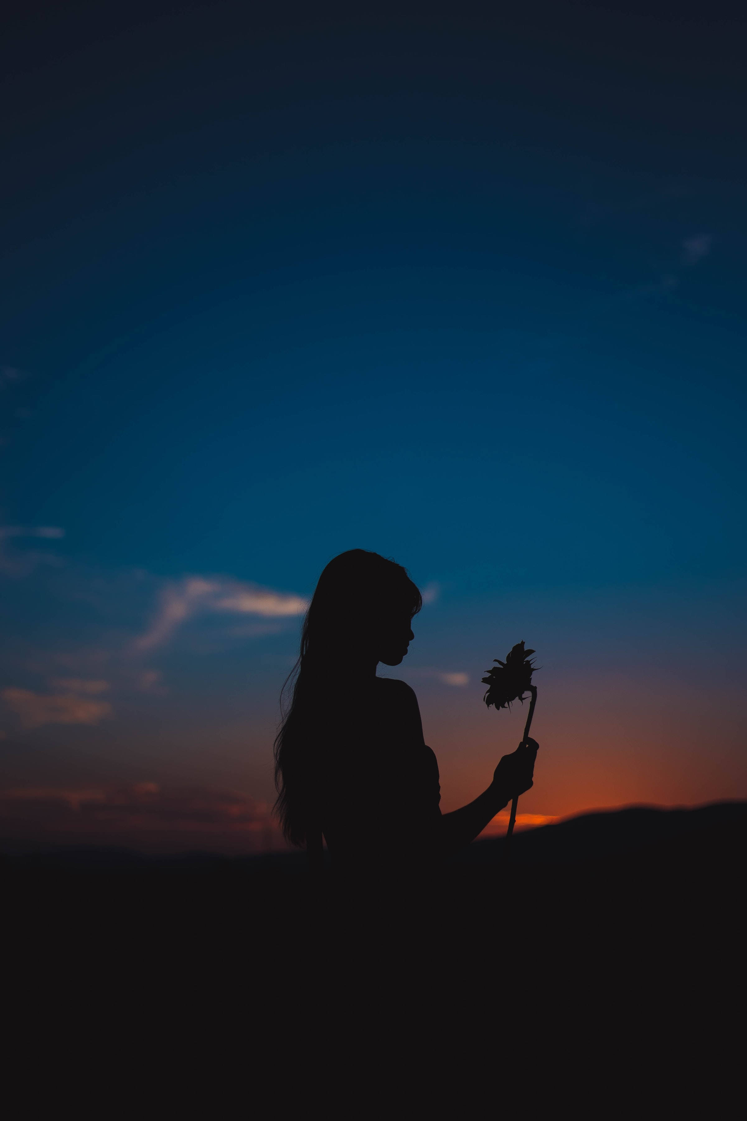 持花剪影的女孩 壁紙 — 一個女人手持花朵，以漸變藍色和橙色的暮色天空為背景的剪影。