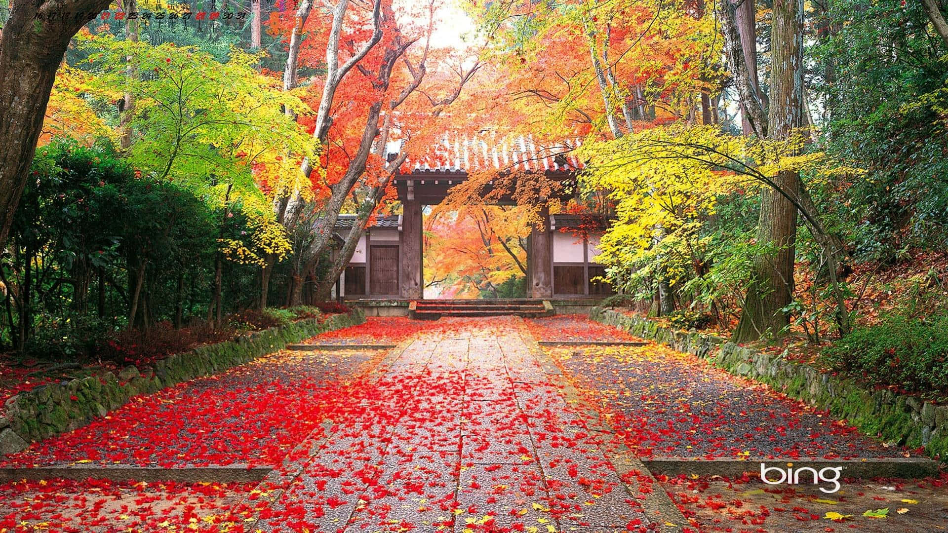 一條鋪滿紅楓葉的石徑通往秋林中的傳統木門。