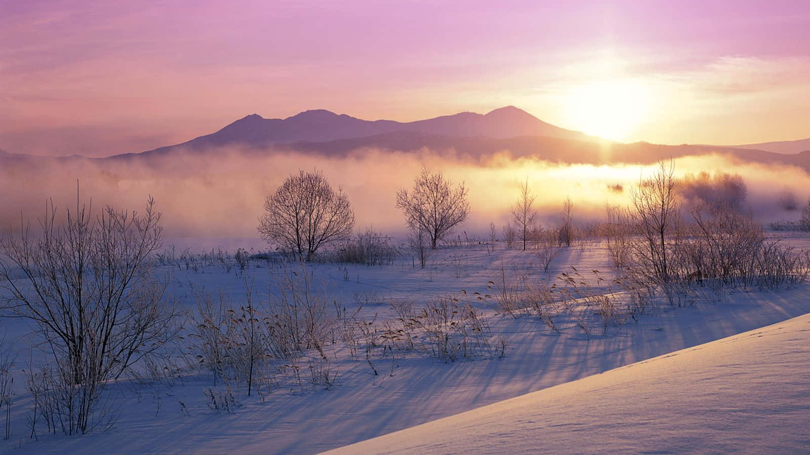 冬季日出照耀著雪山和霧谷，光禿的樹木。