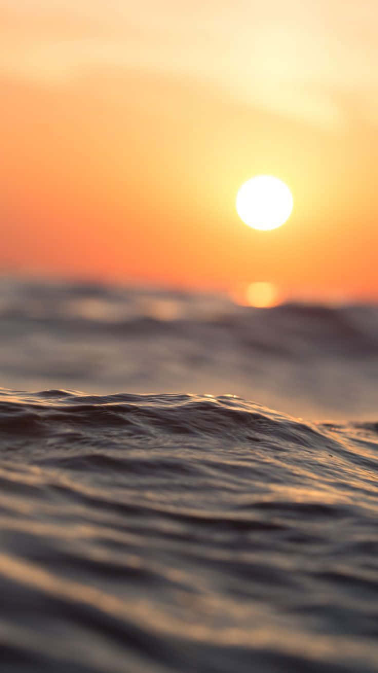 夕陽映照海洋，金色光芒反射在漣漪的水面上。