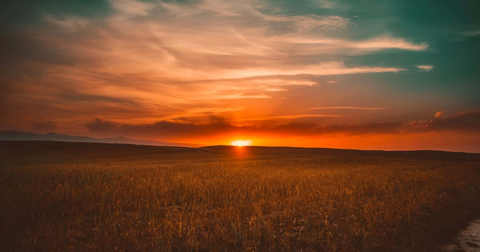 夕陽落在廣闊的麥田上，遠山在色彩繽紛的天空下。