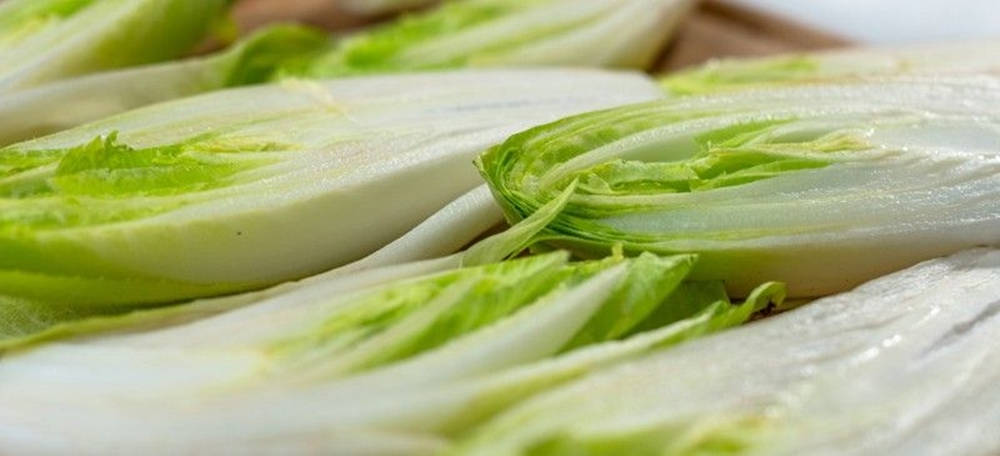 新鮮爽脆的生菜葉，綠色尖端和白色基部。