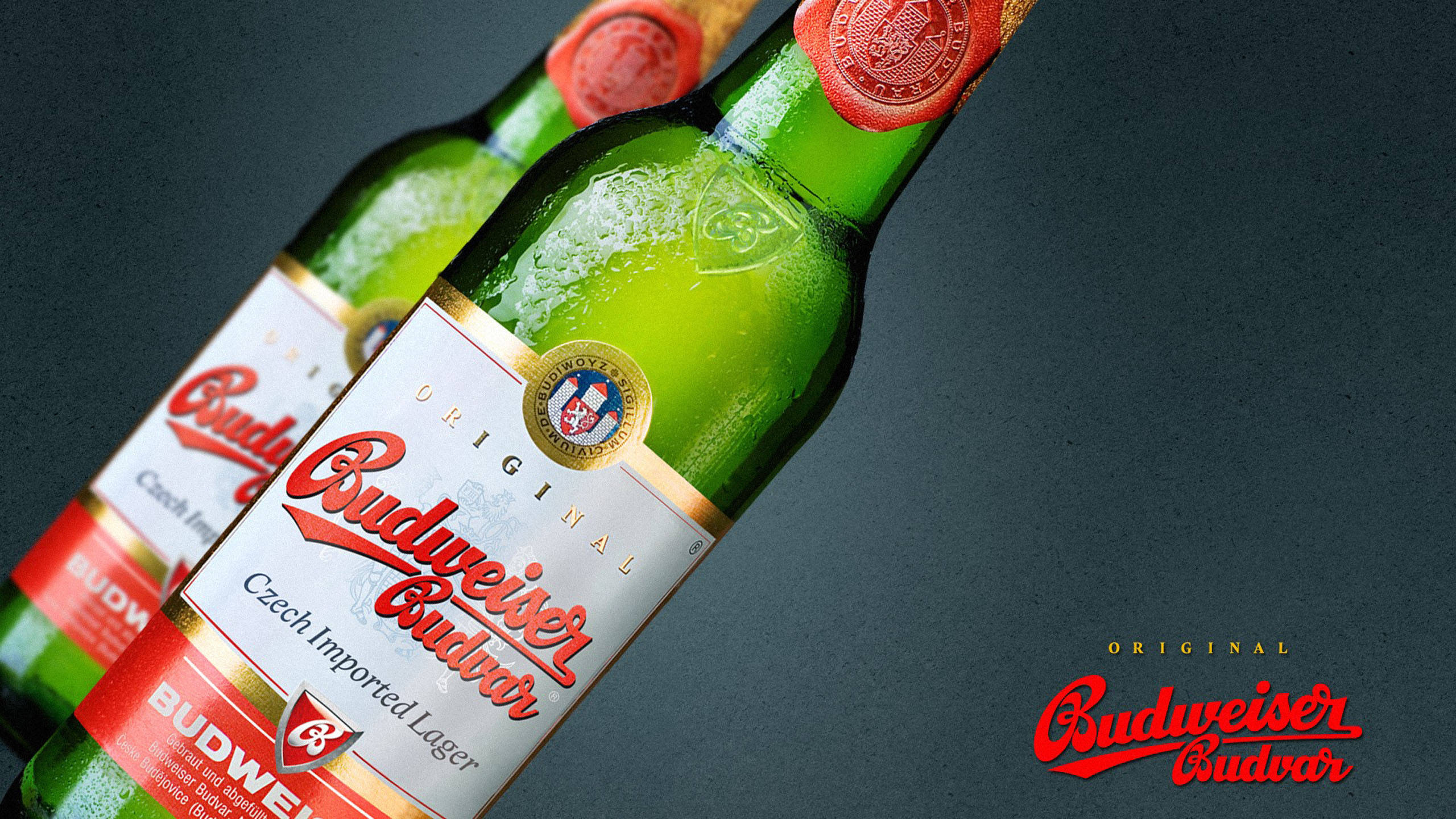 捷克百威布達瓦品牌 壁紙 — 兩瓶冰凍的Budweiser Budvar啤酒瓶，帶有冷凝水珠，在深灰色背景上閃閃發光。