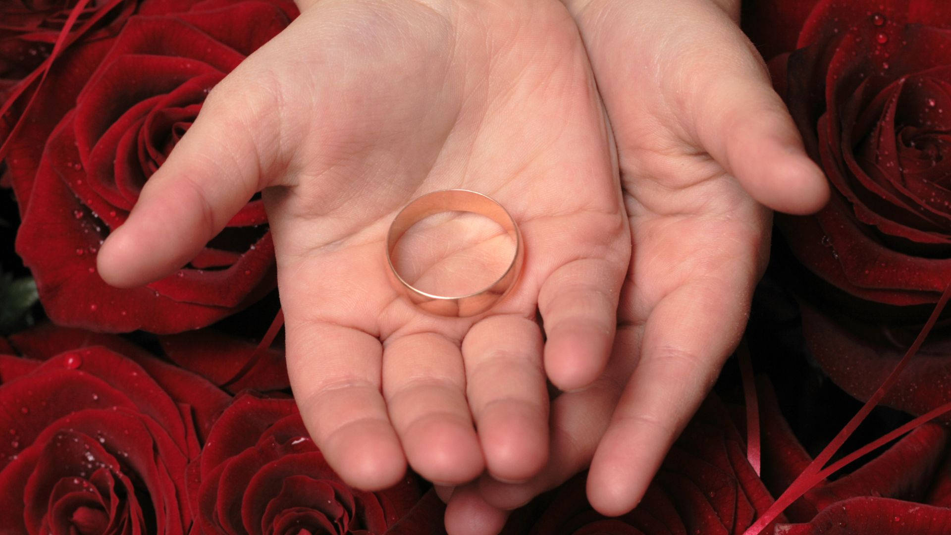 手裡拿著一枚被紅玫瑰和露水環繞的結婚戒指。