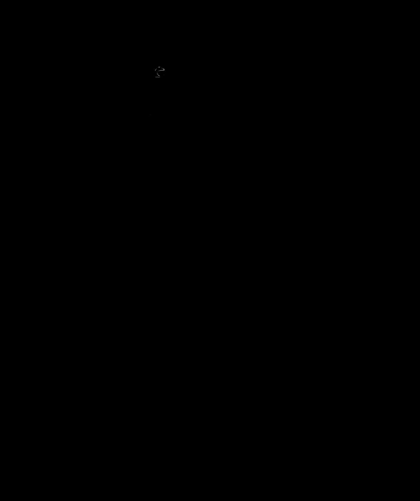 排球比賽精彩瞬間 壁紙