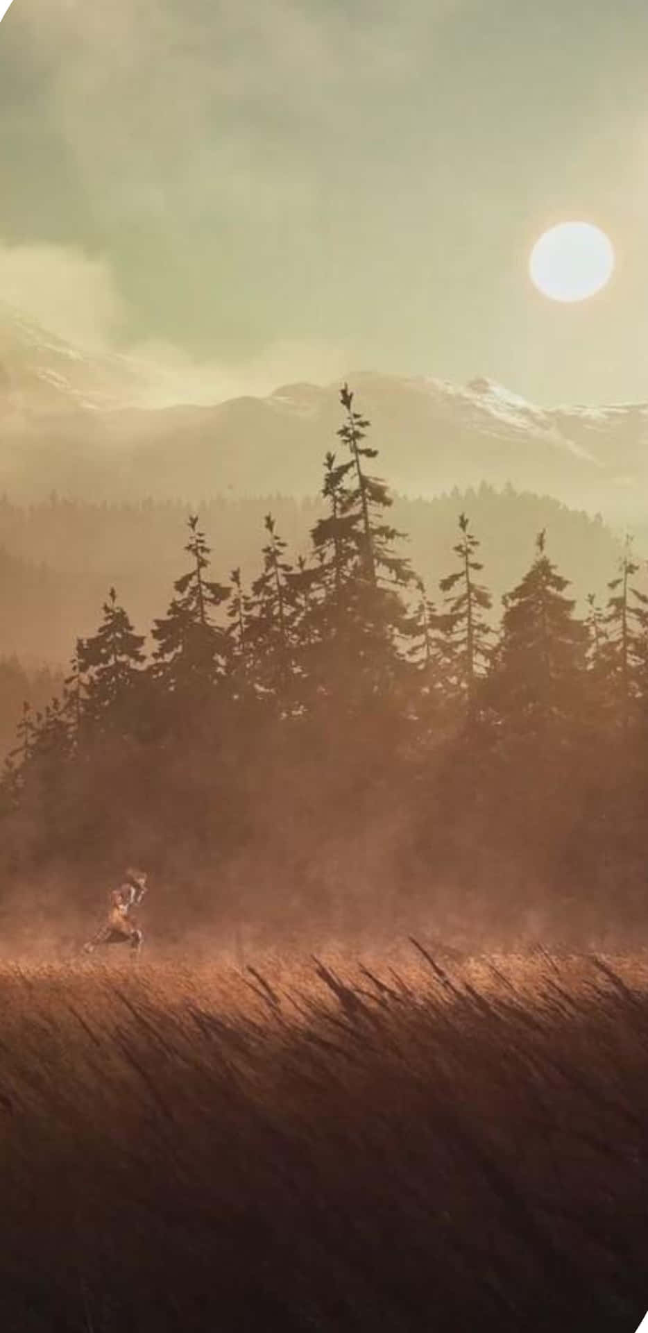 探索 Android《Greedfall》的世界 壁紙 — 一個孤獨的身影穿過高草跑向森林，明亮的太陽低掛在霧氣籠罩的山巒上。