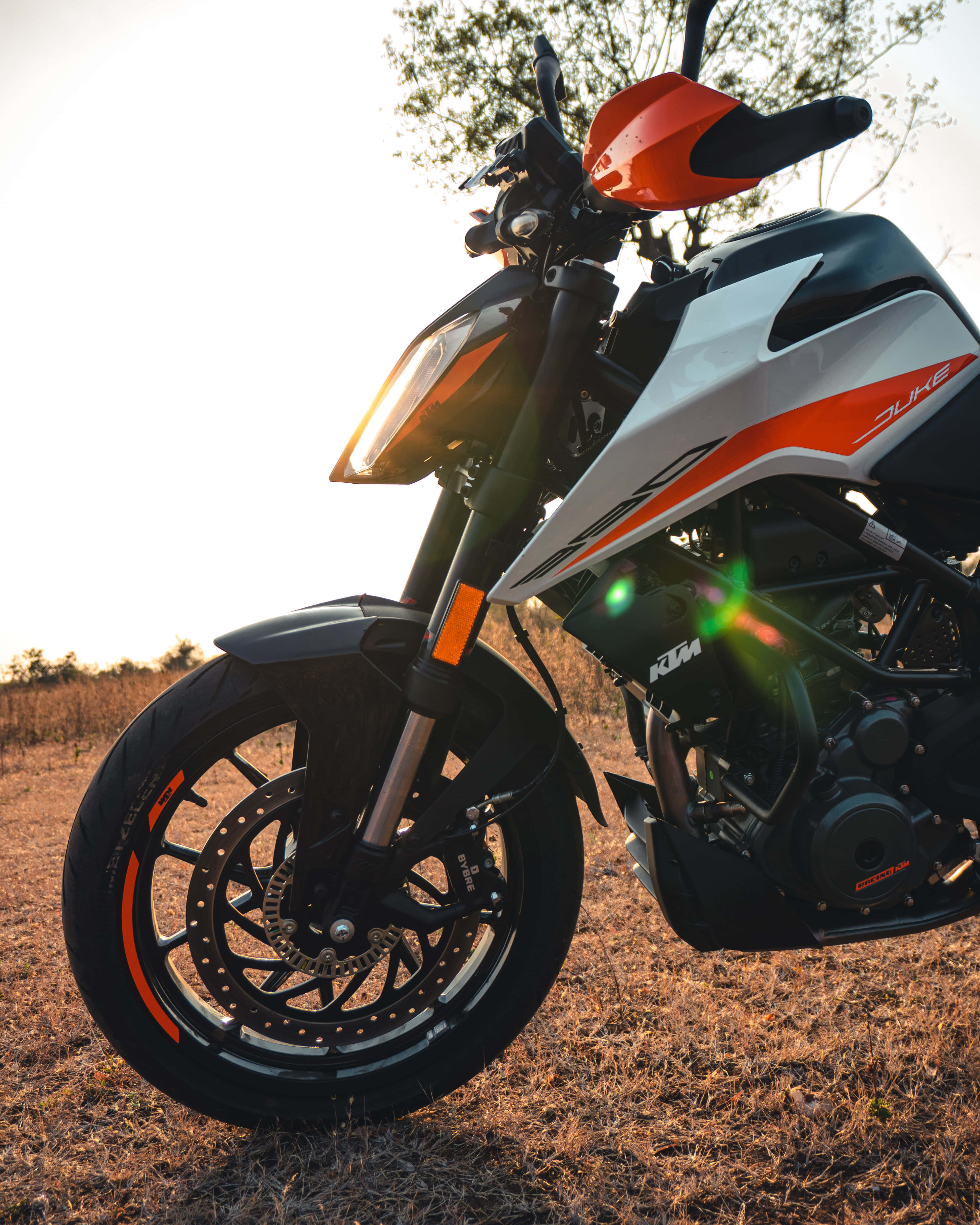探索 Ducati Duke 390 壁紙 — 一架時尚的KTM Duke電單車在金色夕陽下閃耀，停放在乾草地上，背景有樹木。