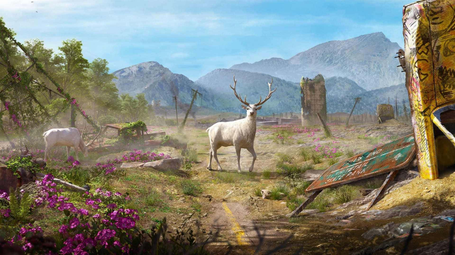 探索《Far Cry New Dawn》的生機勃勃土地 壁紙 — 一頭雄偉的白鹿站在陽光普照的紫色花田裡，旁邊是生鏽的殘骸，背景是山脈。