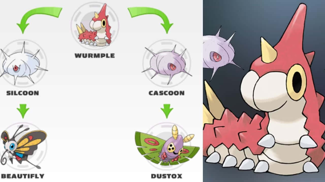 探索 Wurmple 的進化可能性 壁紙 — 一個寶可夢進化圖表，顯示刺尾蟲的進化線，並有最終形態毒粉蛾的大型特寫。