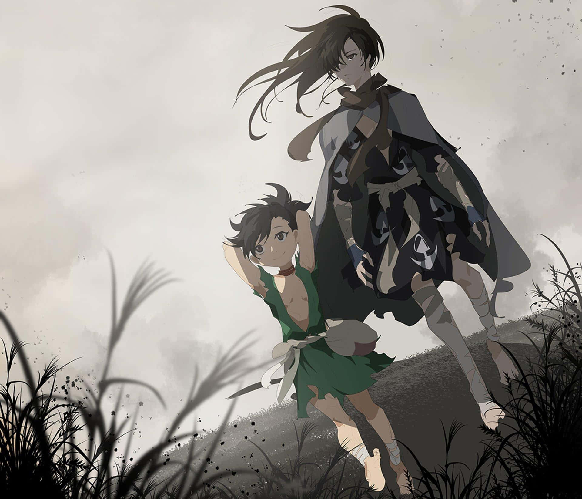 探索《多羅羅》的奇幻世界：動作冒險動畫新篇 壁紙 — 兩個動漫角色站在長滿草的山丘上，天空多雲，風吹動他們的頭髮。