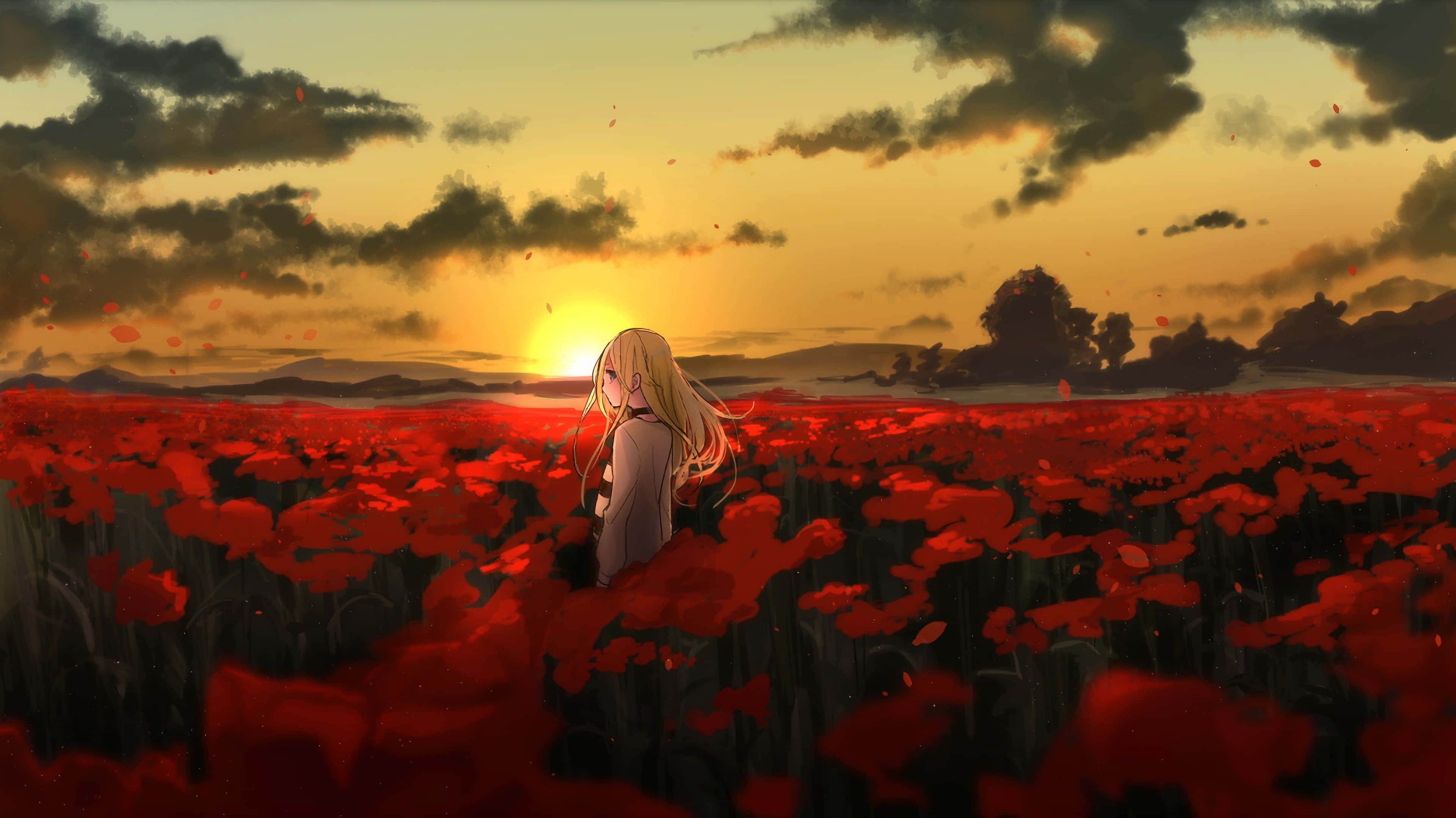 探索《死神天使》的危險深淵 壁紙 — 一個孤獨的金髮動漫女孩站在廣闊的紅色罌粟花田中，夕陽在遠山後落下。