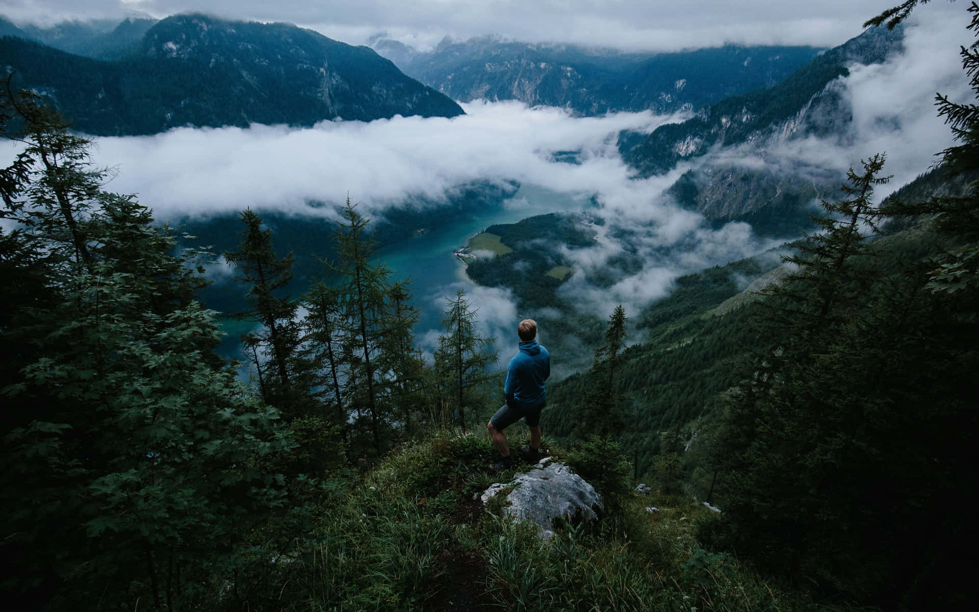 人站在懸崖邊緣，俯瞰被常綠樹木環繞的迷霧山湖。