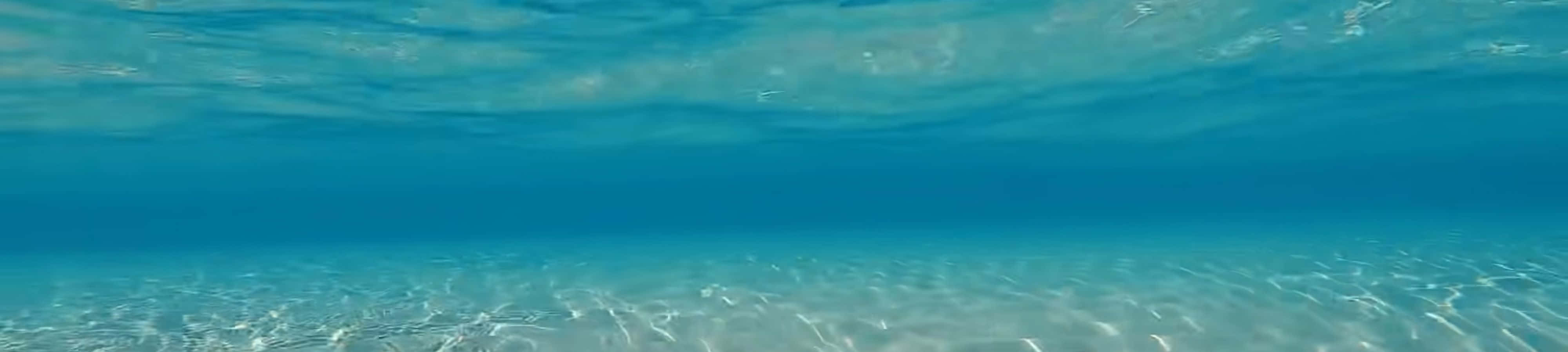陽光穿過清澈碧綠的海水，照射在沙質海底上。