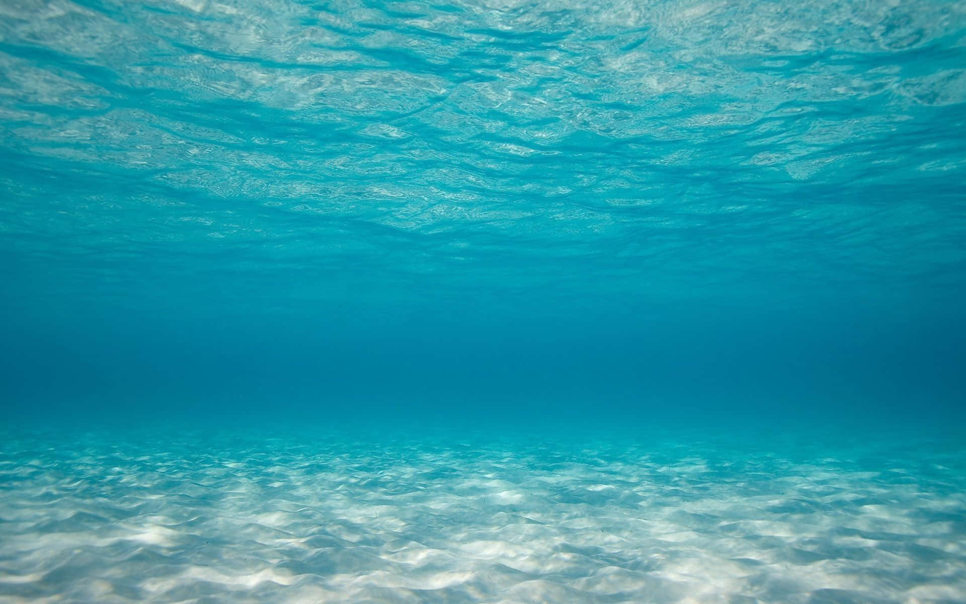 沙質海底及上方波光粼粼的藍色海水的水下視圖