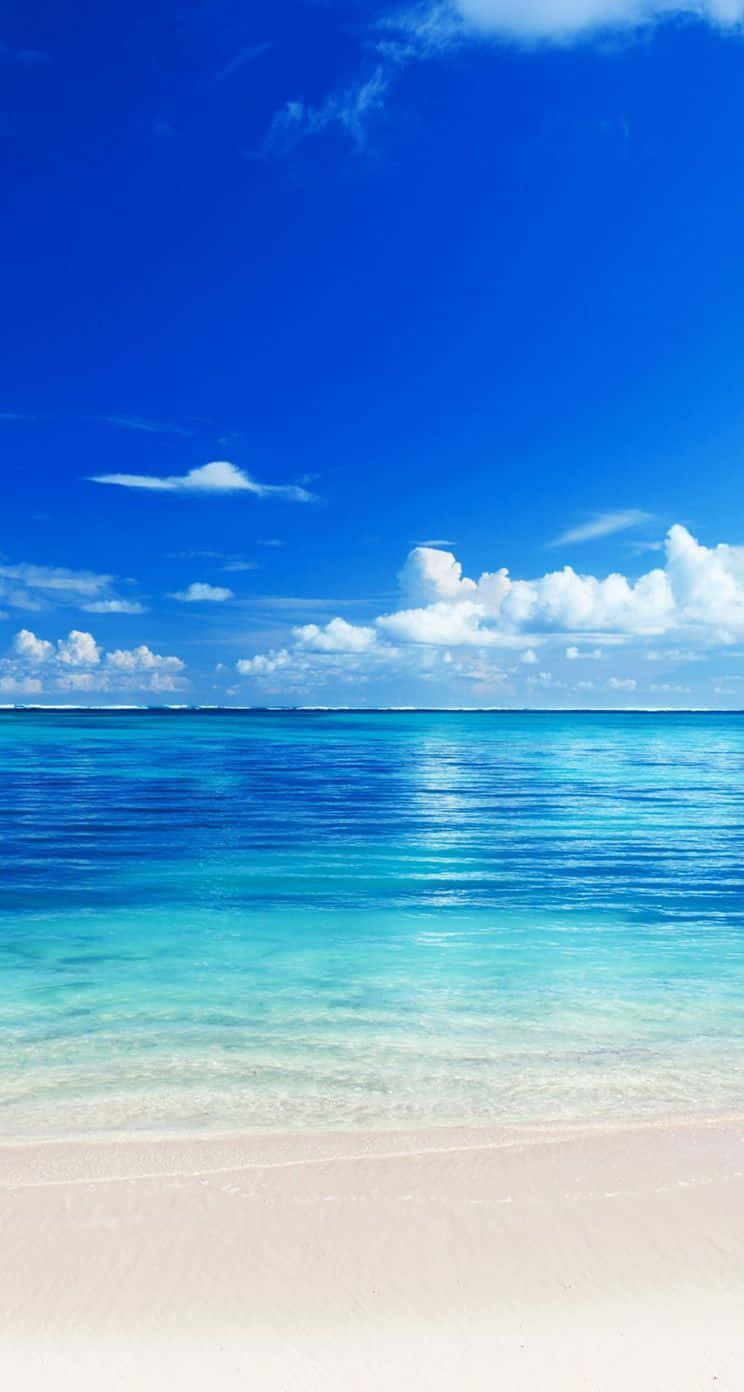 晴朗天空下，清澈藍色海水和白色沙灘的熱帶海灘。