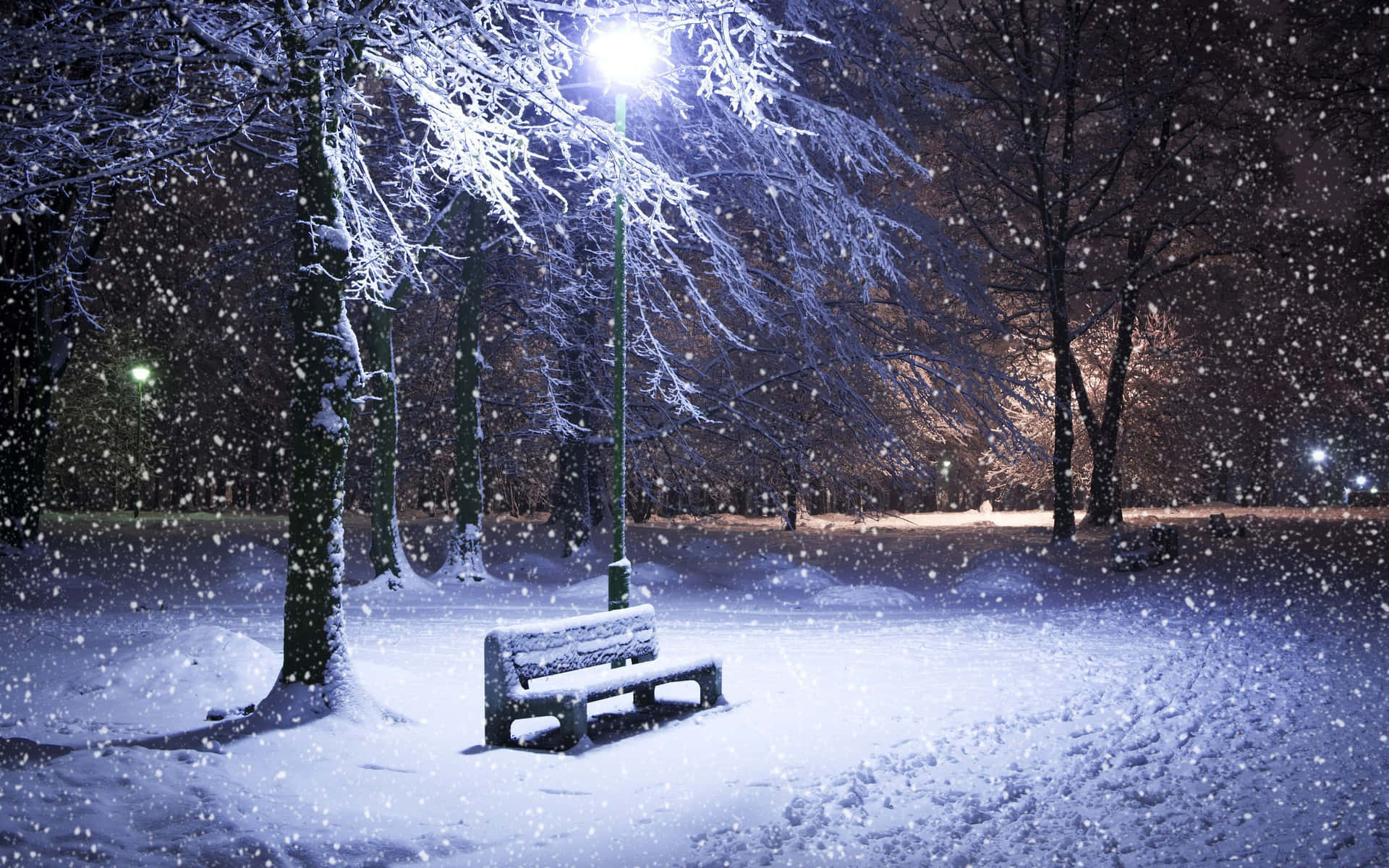 積雪覆蓋的長凳在冬日公園中，被街燈照亮，雪花飄落。