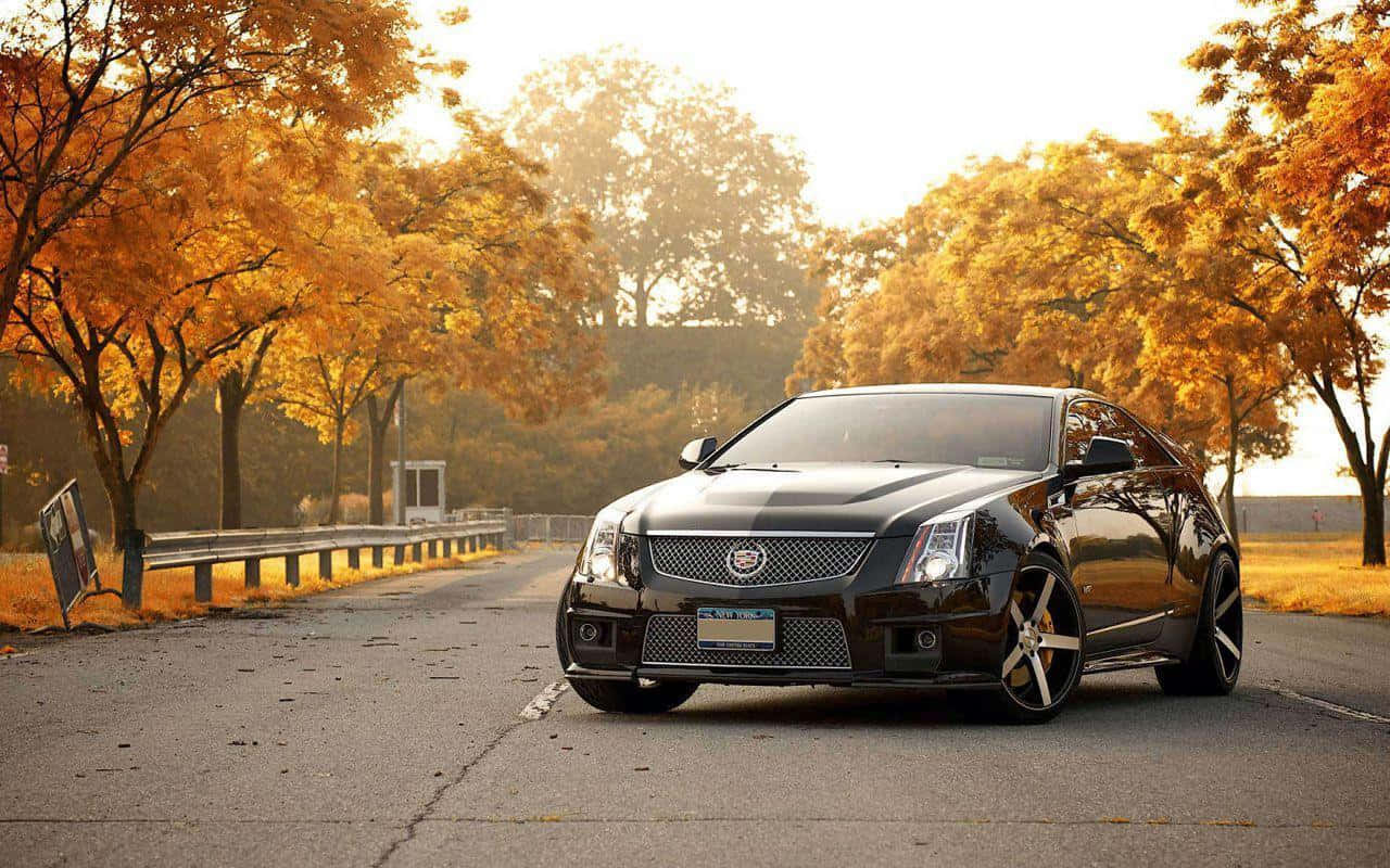黑色Cadillac CTS-V停泊在秋日道路上，金色樹木在夕陽下。