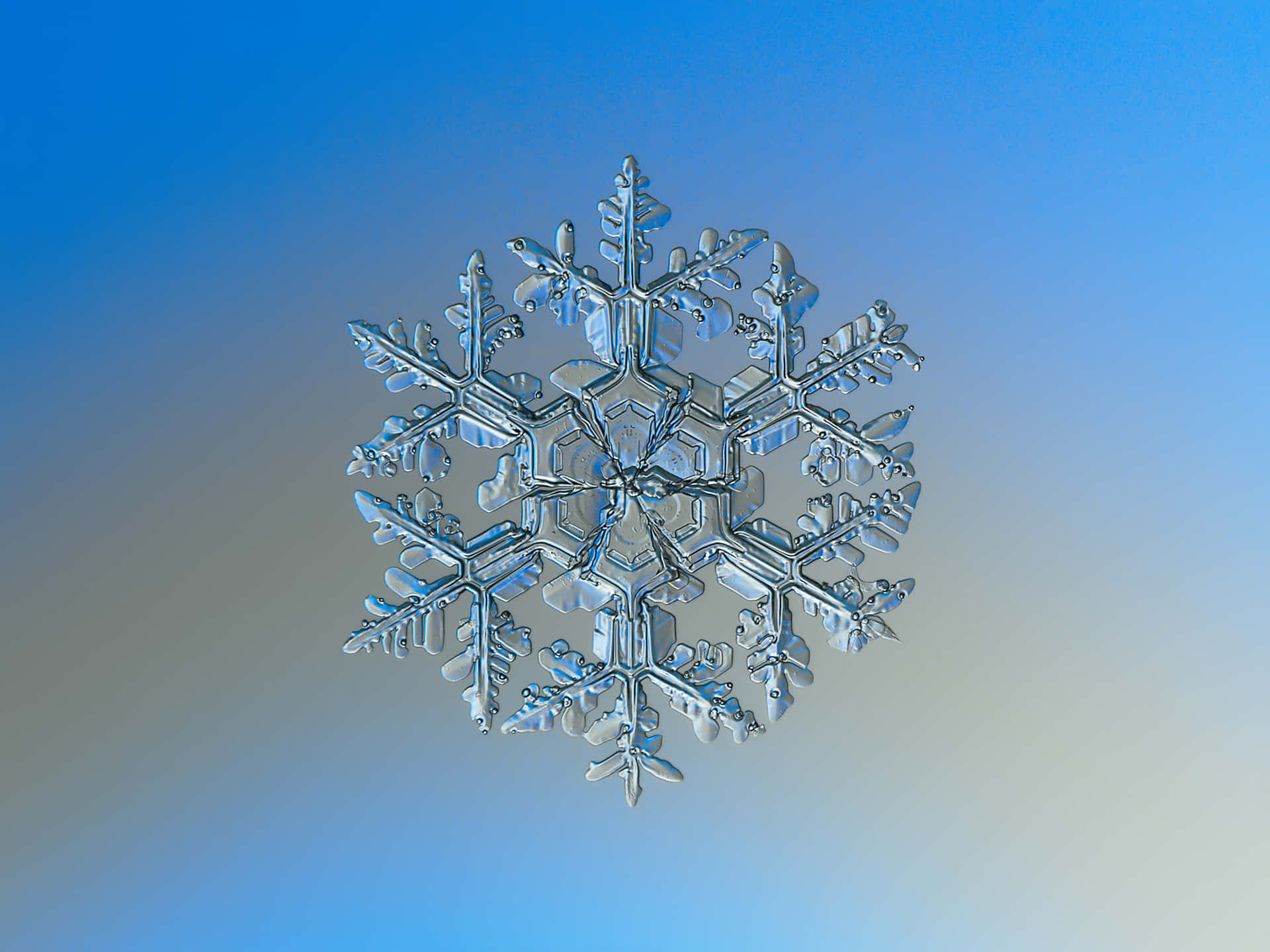在藍色漸變背景上，一片細節豐富、結構複雜的雪花。